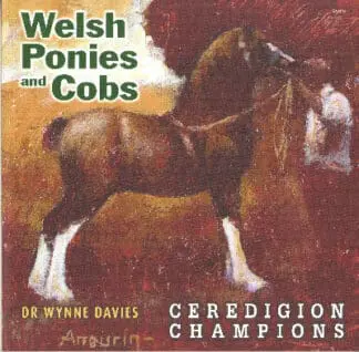 Welsh Ponies and Cobs – Ceredigion Champions