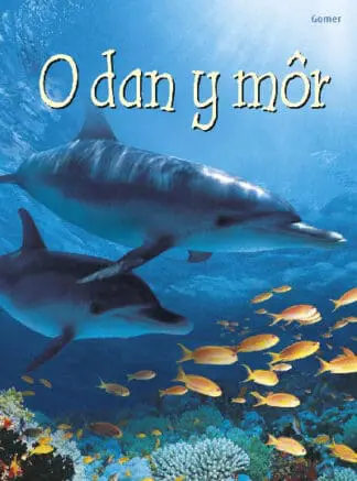 Cyfres Dechrau Da: O dan y Môr