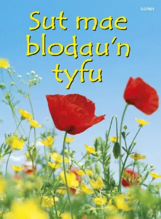 Cyfres Dechrau Da: Sut Mae Blodau’n Tyfu?