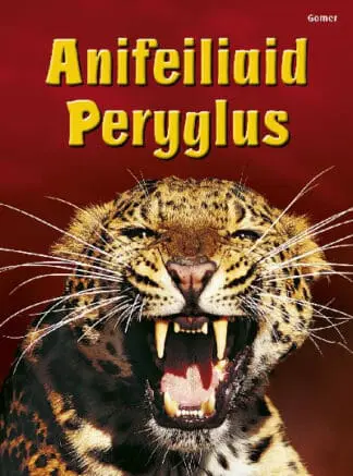 Cyfres Dechrau Da: Anifeiliaid Peryglus