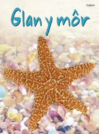 Cyfres Dechrau Da: Glan y Môr