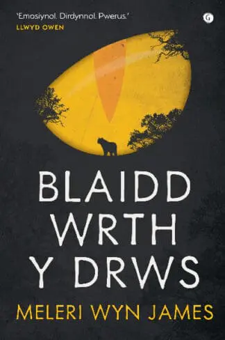 Blaidd wrth y Drws