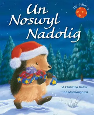 Cyfres Draenog Bach: Un Noswyl Nadolig