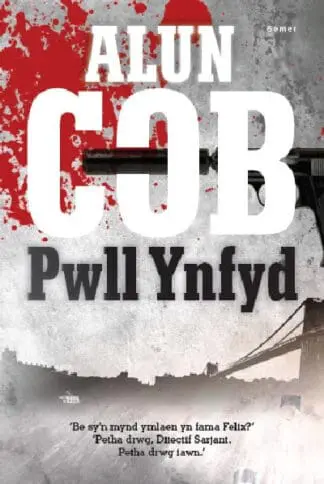Pwll Ynfyd