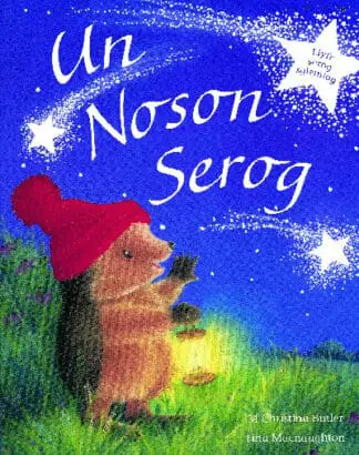 Cyfres Draenog Bach: Un Noson Serog