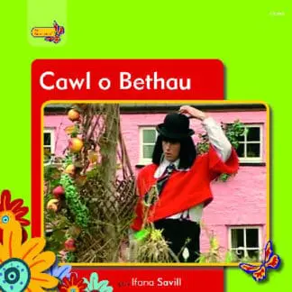 Pobl Pentre Bach: Cawl o Bethau
