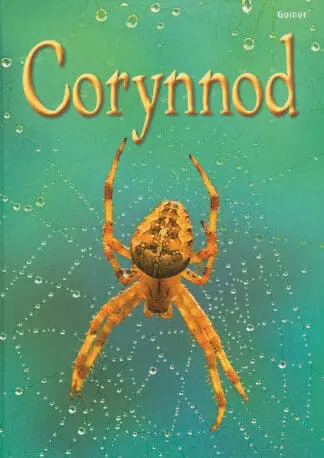 Cyfres Dechrau Da: Corynnod