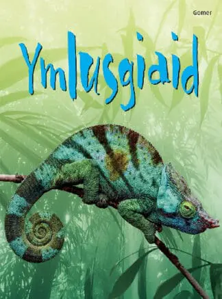 Cyfres Dechrau Da: Ymlusgiaid