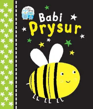 Babi Prysur