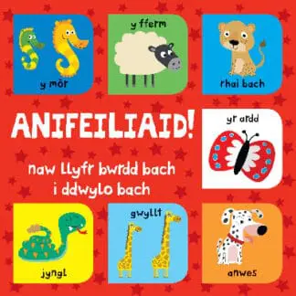 Anifeiliaid – Set