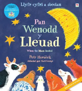 Llyfr Cyfri a Sbecian: Pan Wenodd y Lleuad / When the Moon Smiled