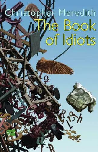 Book of Idiots, The