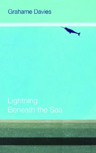 Lightning Beneath the Sea