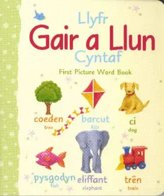 Llyfr Gair a Llun Cyntaf/First Picture Word Book