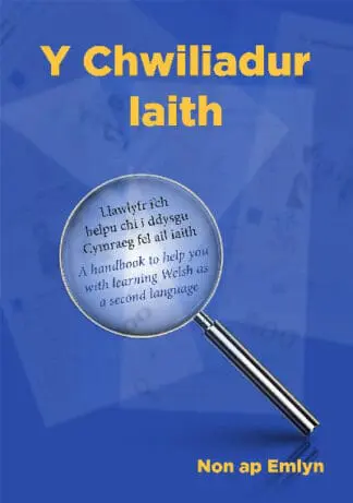 Chwiliadur Iaith, Y