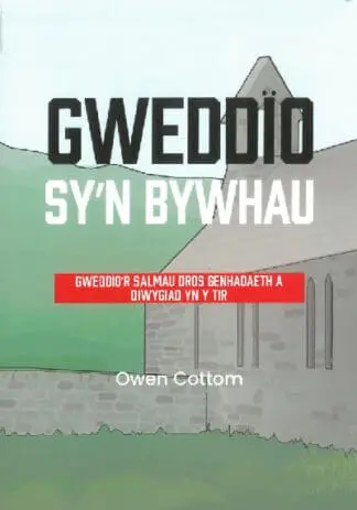 Gweddïo sy’n bywhau – Gweddïo’r salmau dros genhadaeth a diwygiad yn y tir