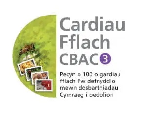 Cardiau Fflach CBAC 3