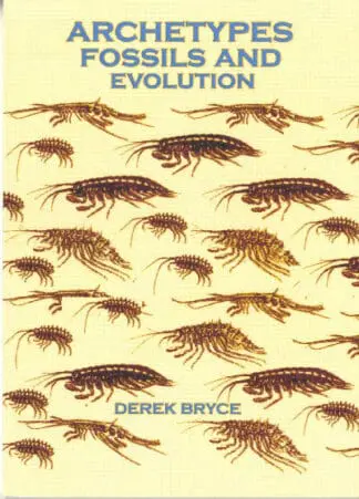 Archetypes Fossils and Evolution