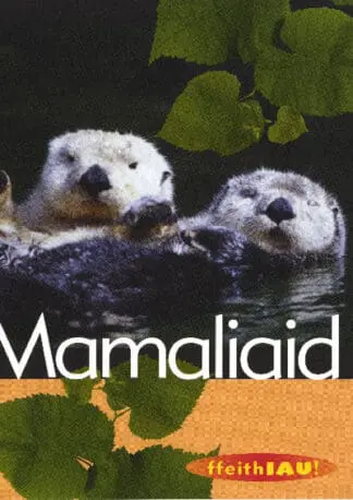 Cyfres Ffeithiau! Anifeiliaid: Mamaliaid