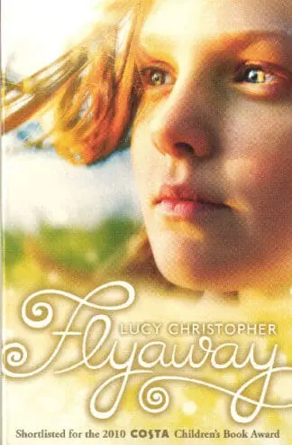 Flyaway