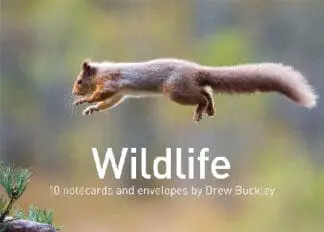 Wildlife by Drew Buckley – 10 Notecards and Envelopes