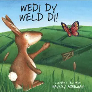 Wedi Dy Weld Di