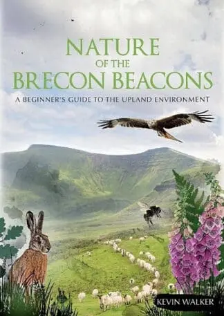 Nature of the Brecon Beacons – A Beginner’s Guide to the Upland Environment