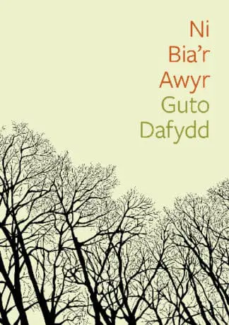Cyfres Tonfedd Heddiw: Ni Bia’r Awyr