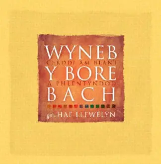 Wyneb y Bore Bach – Cerddi am Blant a Phlentyndod