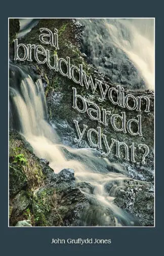 Ai Breuddwydion Bardd Ydynt?