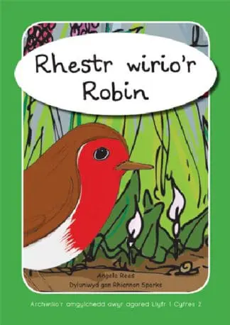 Archwilio’r Amgylchedd Awyr Agored yn y Cyfnod Sylfaen – Cyfres 2: Rhestr Wirio’r Robin