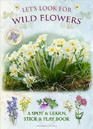 Let’s Look for Wild Flowers – A Spot & Learn, Stick & Play Book