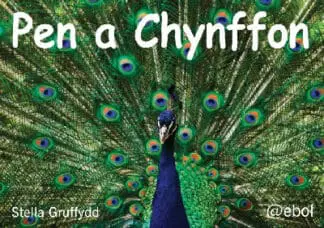 Pen a Chynffon – Pecyn Llythrennedd Cardiau’n Unig
