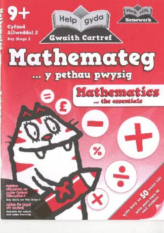 Help gyda Gwaith Cartref – Mathemateg, Y Pethau Pwysig