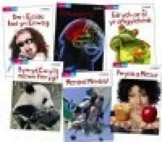 Cyfres Bling – Y Pecyn