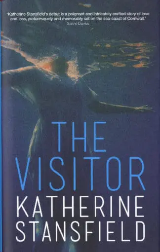 Visitor, The