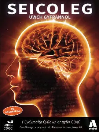 Seicoleg Uwch Gyfrannol (Ail Argraffiad)