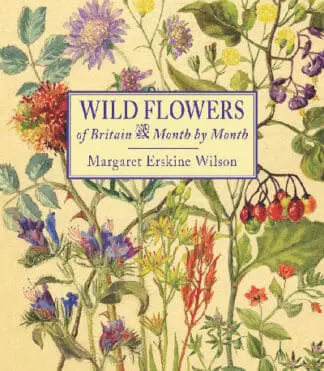 Wild Flowers of Britain – Month by Month