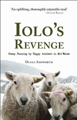 Iolo’s Revenge – Sheep Farming by Happy Accident in Mid-Wales