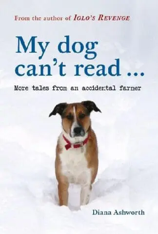 My dog can’t read… more tales from an accidental farmer