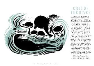 Tom Cox’s 21st Century Yokel Poster: Cats of the River