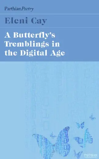Butterfly’s Tremblings in the Digital Age, A