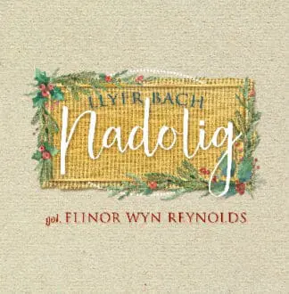 Llyfr Bach Nadolig