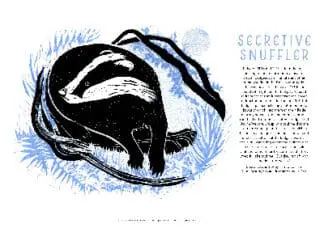 Tom Cox’s 21st Century Yokel Poster: Secretive Snuffler