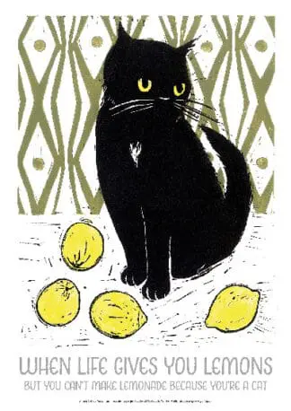 WHEN LIFE GIVES YOU LEMONS