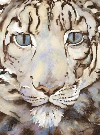 The Snow Leopard – Artist Edition