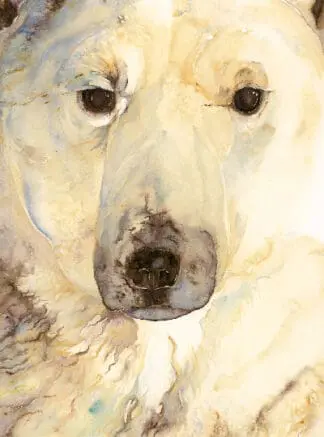 Ice Bear, The – Artist Edition
