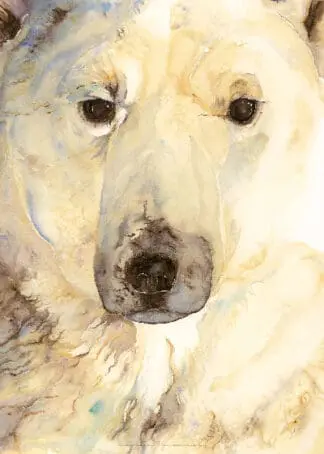 Jackie Morris Poster: Ice Bear Poster, The