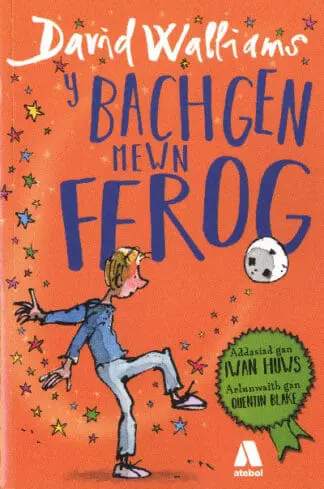 Bachgen Mewn Ffrog, Y