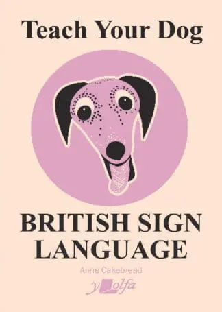 Teach Your Dog British Sign Language